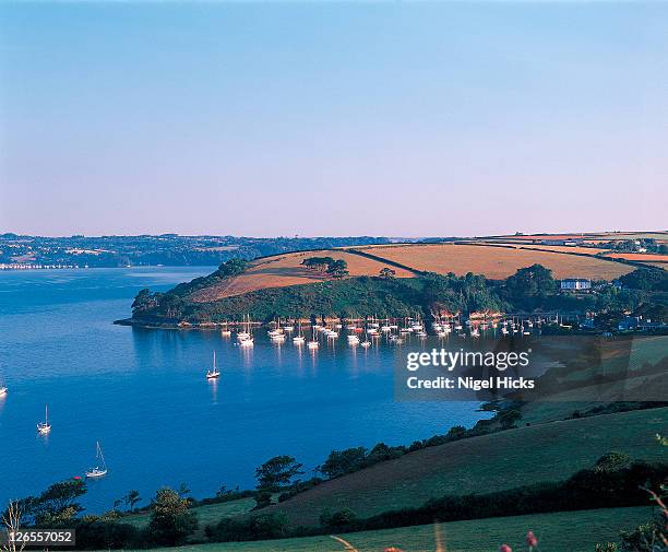 a creek off the river fal - falmouth england stock pictures, royalty-free photos & images