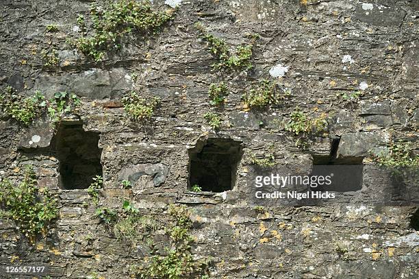 close-up of holes in a stone wall at oakhampton castle, designed to take wooden beams integral to the fort's structure supporting the ceiling and floor, which have long since decayed - castle wall stock pictures, royalty-free photos & images