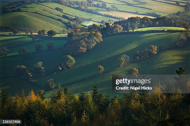 autumnal landscape across countryside near dawlish, seen from the obelisk viewpoint, nr mamhead, devon, great britain. - devon stock pictures, royalty-free photos & images