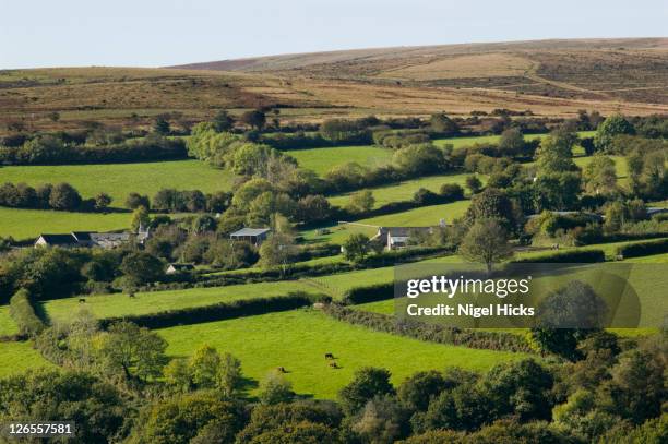 farmland around holne, dartmoor national park, devon, great britain. - moors valley country park stock pictures, royalty-free photos & images