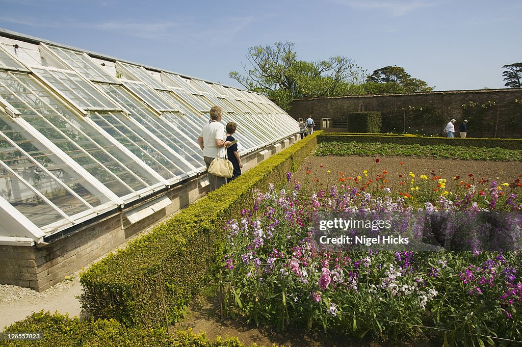 A restored greenhouse in the Lost Garden of Heligan, nr St Austell, Cornwall, Great Britain.