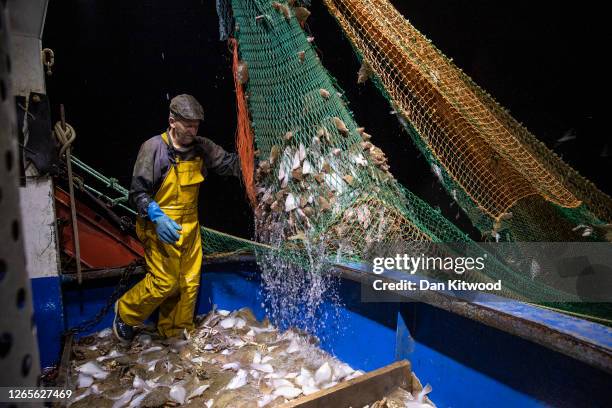 Skipper Stuart Hamilton, pulls in the nets while fishing for flatfish such as Skate and Dover Sole in the English Channel from a Hastings fishing...