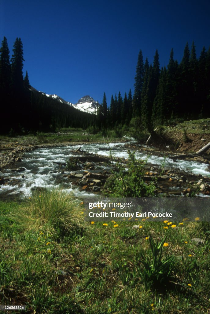 Cimarron river