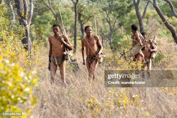 ; ! kung bushman die in kalahari jaagt - kalahari desert stockfoto's en -beelden