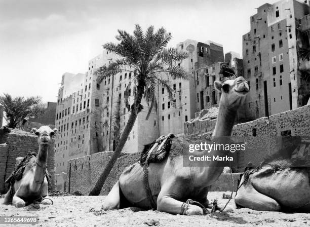 Asia. Yemen. Aden. Shibam. Part Of The Circle Of Walls. 1957.