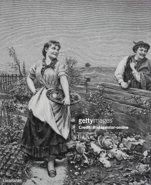 Digital improved reproduction, Young woman stands in the herb garden and the neighbour would like to flirt with her, Junge Frau steht im...
