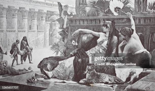 Cleopatra Ruler Cleopatra Vii Of Egypt Photos and Premium High Res Pictures - Getty Images