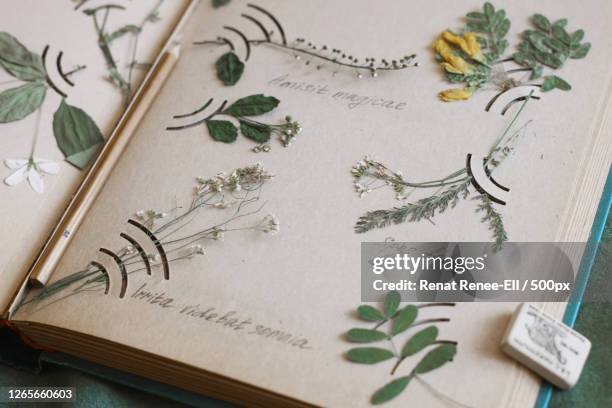 high angle view of flowers in book on table, centralniy, russia - naturheilkunde stock-fotos und bilder