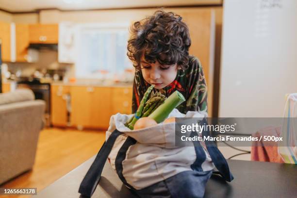 boy looking into reusable shopping bag at home, victoria, canada - reusable bag stock pictures, royalty-free photos & images