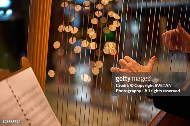 man playing harp strings - arpa fotografías e imágenes de stock