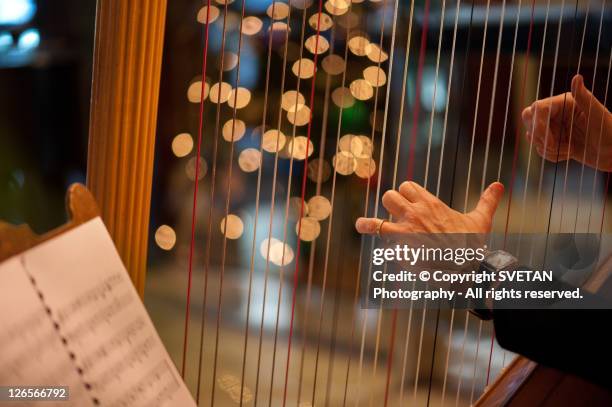man playing harp strings - harpa imagens e fotografias de stock