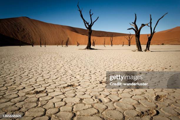 死地利的日落。 - sossusvlei 個照片及圖片檔