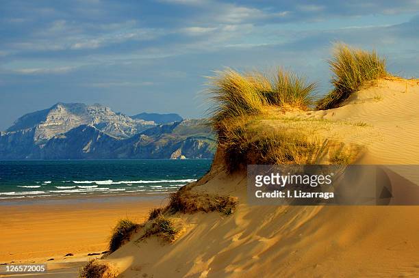 dune beach - laredo stockfoto's en -beelden