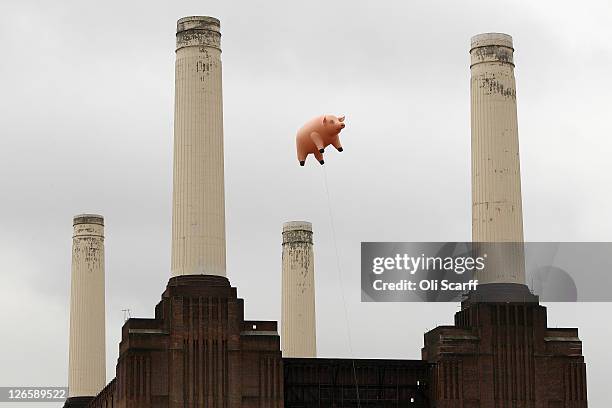 An inflatable pig flies above Battersea Power Station in a recreation of Pink Floyd's 'Animals' album cover on September 26, 2011 in London, England....
