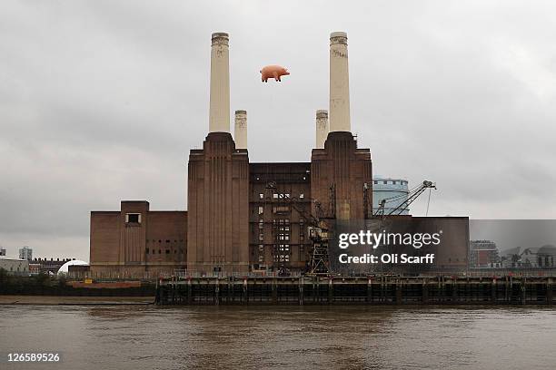 182 Pink Floyd Animals Photos and Premium High Res Pictures - Getty Images 182 Pink Floyd Animals Photos and Premium High Res Pictures - Getty Images