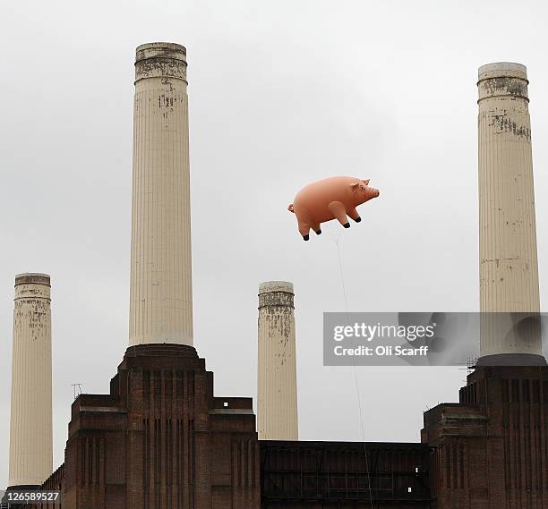 An inflatable pig flies above Battersea Power Station in a recreation of Pink Floyd's 'Animals' album cover on September 26, 2011 in London, England....