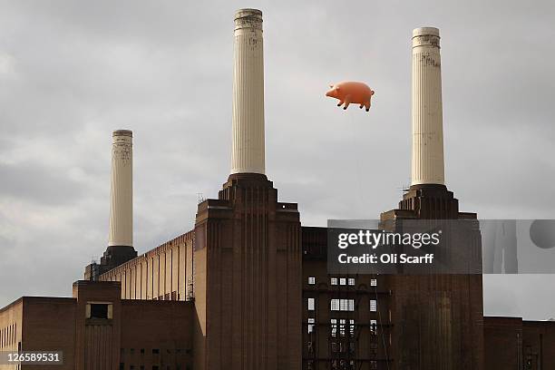 182 Pink Floyd Animals Photos and Premium High Res Pictures - Getty Images 182 Pink Floyd Animals Photos and Premium High Res Pictures - Getty Images