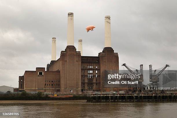 An inflatable pig flies above Battersea Power Station in a recreation of Pink Floyd's 'Animals' album cover on September 26, 2011 in London, England....