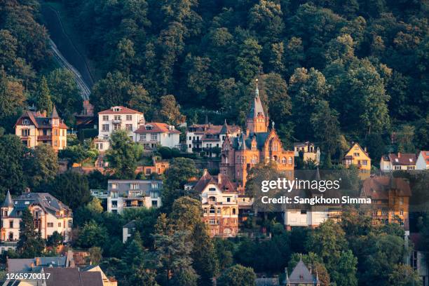 aerial view of heidelberg town, germany. - neckar river stock pictures, royalty-free photos & images