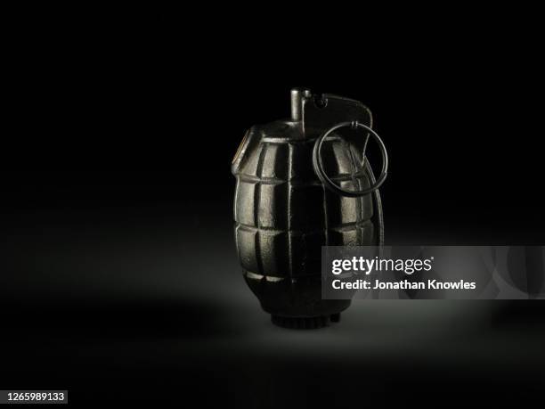 hand grenade - hand grenade bildbanksfoton och bilder