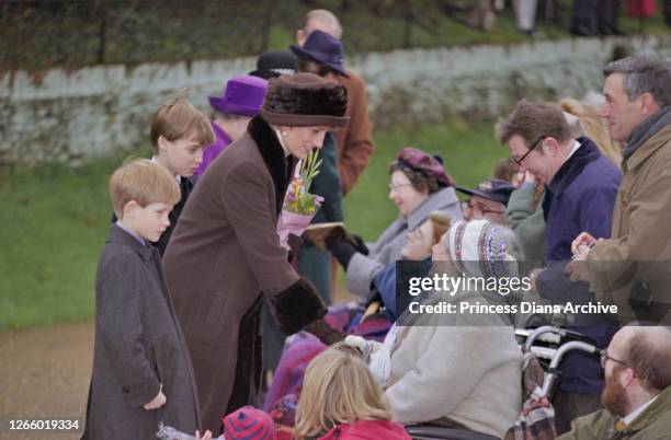 British Royals Prince Harry, Prince William and Diana, Princess of Wales , wearing a brown coat with black trim and a matching winter hat, greeting...