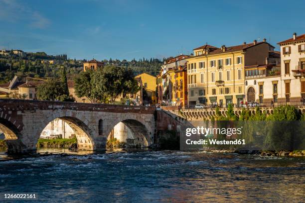 italy, veneto, verona, arch bridge over adige river with city houses in background - verona italy stock pictures, royalty-free photos & images