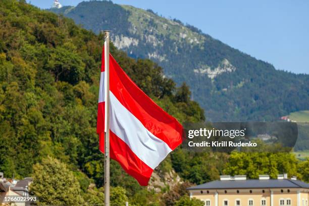 austrian flag on a pole - österreichische flagge stock-fotos und bilder