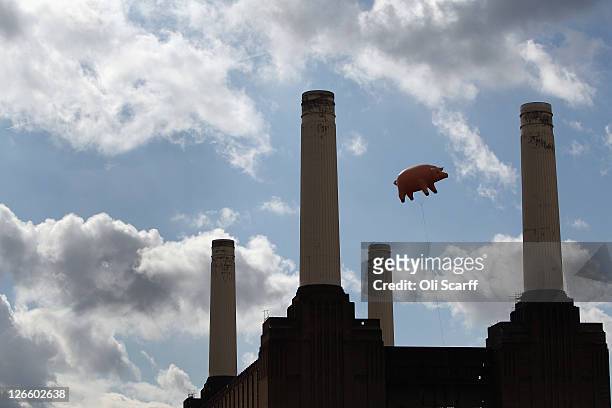 182 Pink Floyd Animals Photos and Premium High Res Pictures - Getty Images