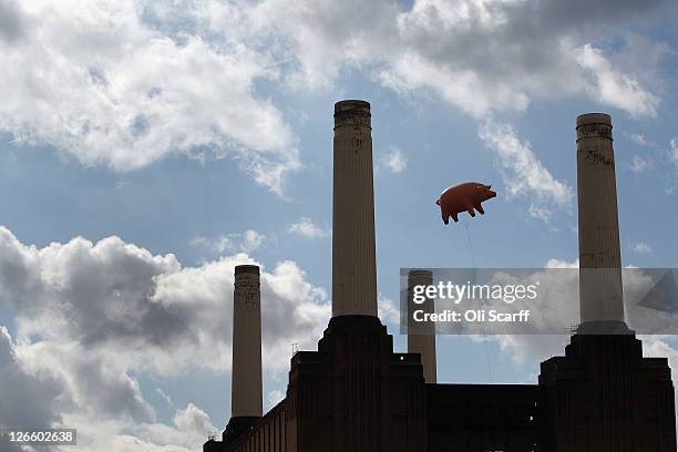 182 Pink Floyd Animals Photos and Premium High Res Pictures - Getty Images 182 Pink Floyd Animals Photos and Premium High Res Pictures - Getty Images