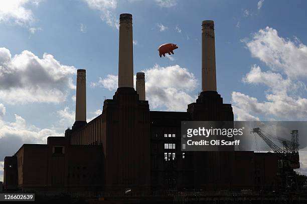 170 Pink Floyd Animals Photos and Premium High Res Pictures - Getty Images