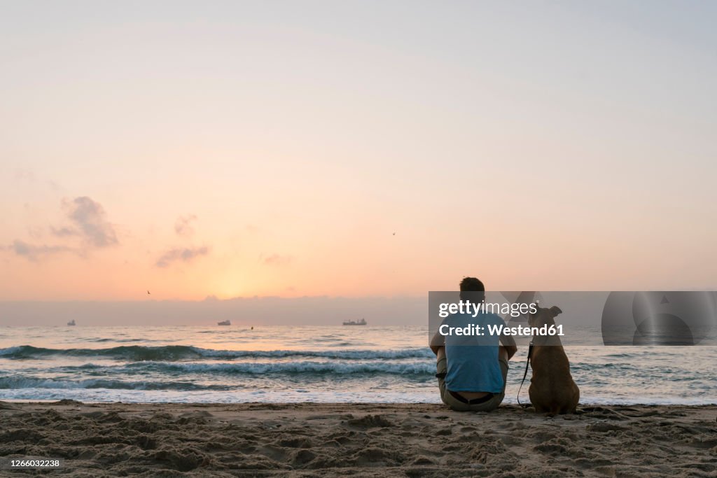 Man with his dog sitting on beach sand at dawn