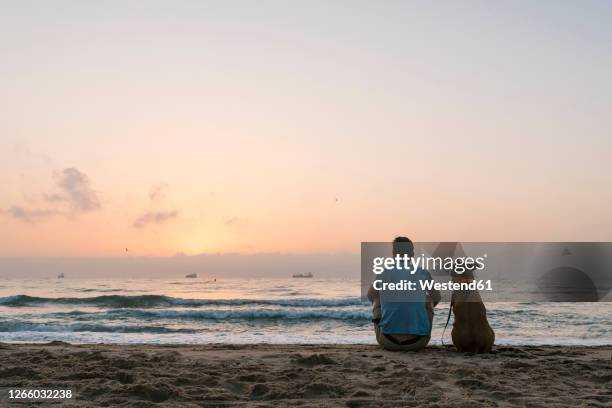 man with his dog sitting on beach sand at dawn - pet heaven stock pictures, royalty-free photos & images