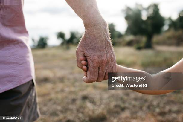 close-up of grandfather and granddaughter holding hands - kid middle finger stock-fotos und bilder