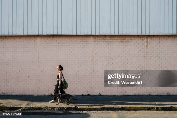 woman walking with dog at sidewalk against wall - european outdoor urban walls stockfoto's en -beelden