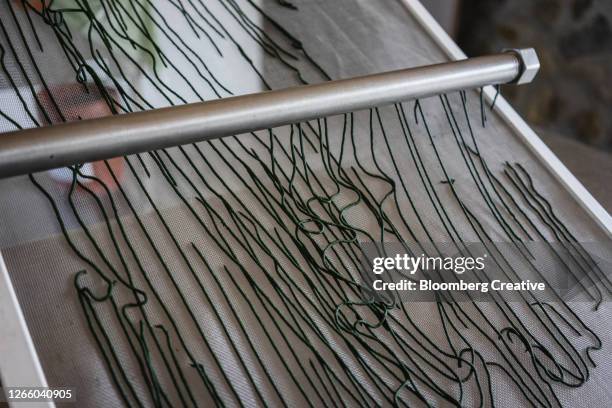 spirulina - spirulinabacterie stockfoto's en -beelden