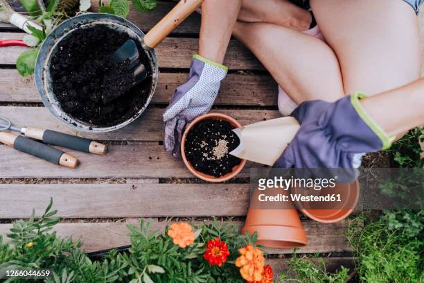 mid adult woman planting seeds in flower pot while sitting at vegetable garden - blumensamen stock-fotos und bilder