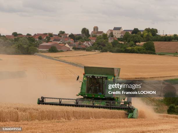 Moissonneuse-batteuse dans un champ de blé, 20 juillet 2019, France.