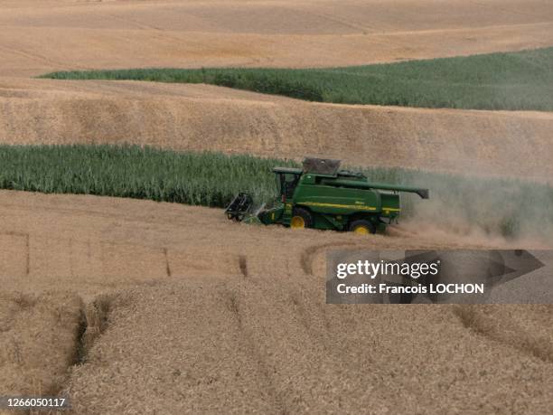 Moissonneuse-batteuse dans un champ de blé, 20 juillet 2019, France.
