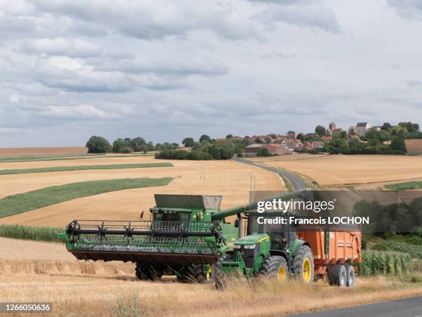 Moissonneuse-batteuse dans un champ de blé, 20 juillet 2019, France.