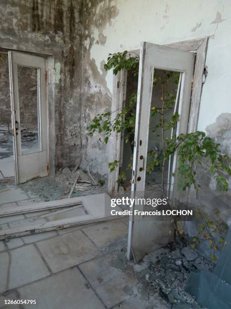 Végétation dans une pièce d'une maison de la ville-fantôme de Pripyat 32 ans après la catastrophe de Tchernobyl, 12 septembre 2018, Ukraine.