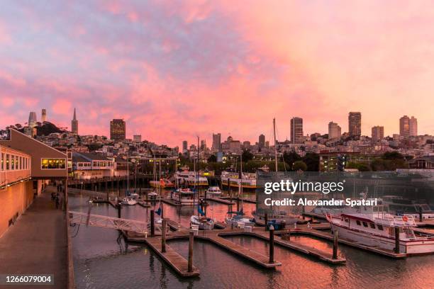 san francisco skyline during sunset with pier 39, california, usa - bahía de san francisco fotografías e imágenes de stock