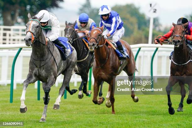 Ryan Tate riding Alpinista win The British Stallion Studs EBF Upavon Fillies' Stakes at Salisbury Racecourse on August 13, 2020 in Salisbury,...