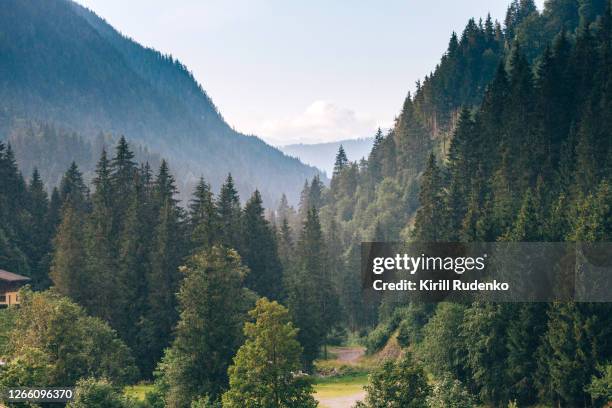 raining in austrian alps - austrian alps stock pictures, royalty-free photos & images