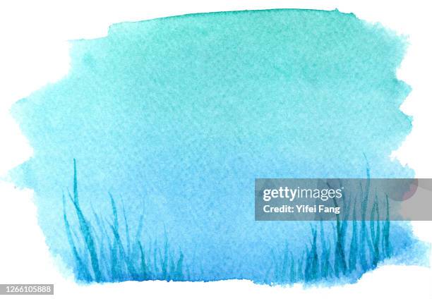 illustration of sea grass with blue background - seaweed stock pictures, royalty-free photos & images