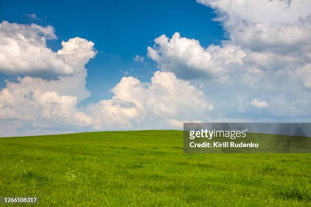a meadow in upper austria on a bright summer day - grasland stock-fotos und bilder