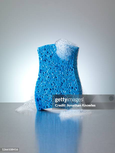 soapy sponge - sponge fotografías e imágenes de stock