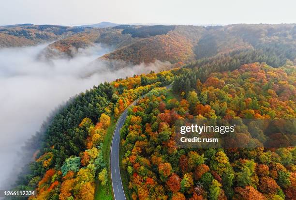 aerial view of autumn forest road in morning fog. mosele valley, germany. - german landscape stock pictures, royalty-free photos & images