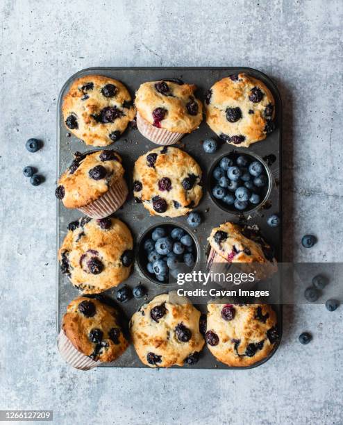overhead view of blueberry muffins in baking tin on concrete counter. - muffins stock pictures, royalty-free photos & images