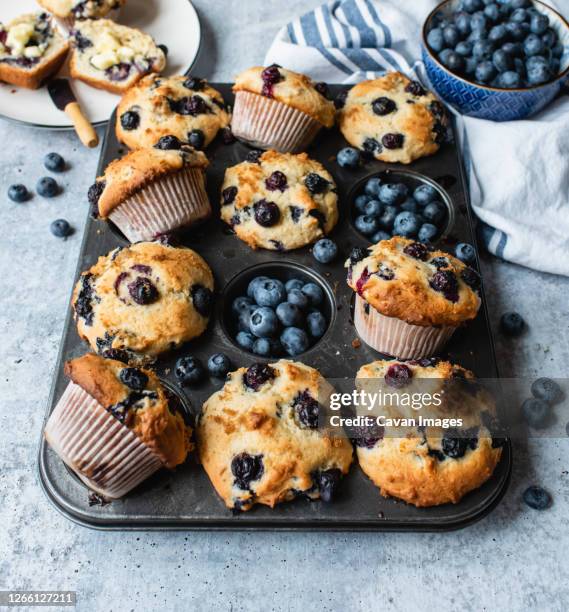 overhead view of blueberry muffins in baking tin on concrete counter. - muffin stockfoto's en -beelden