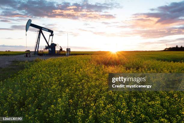 prairie oliepomp jacks canada usa - waterput stockfoto's en -beelden